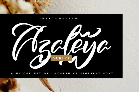 Azaleya: A Thoughtful Script for Real Design Work