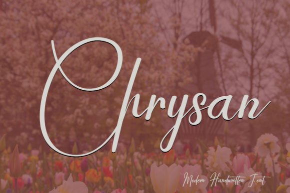 Chrysan: A Handwritten Font That Feels Like Home